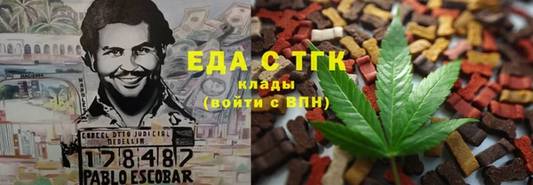 молекула духа Богородицк
