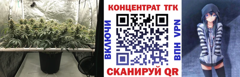 Купить закладки  Минусинск  ТГК вейп 
